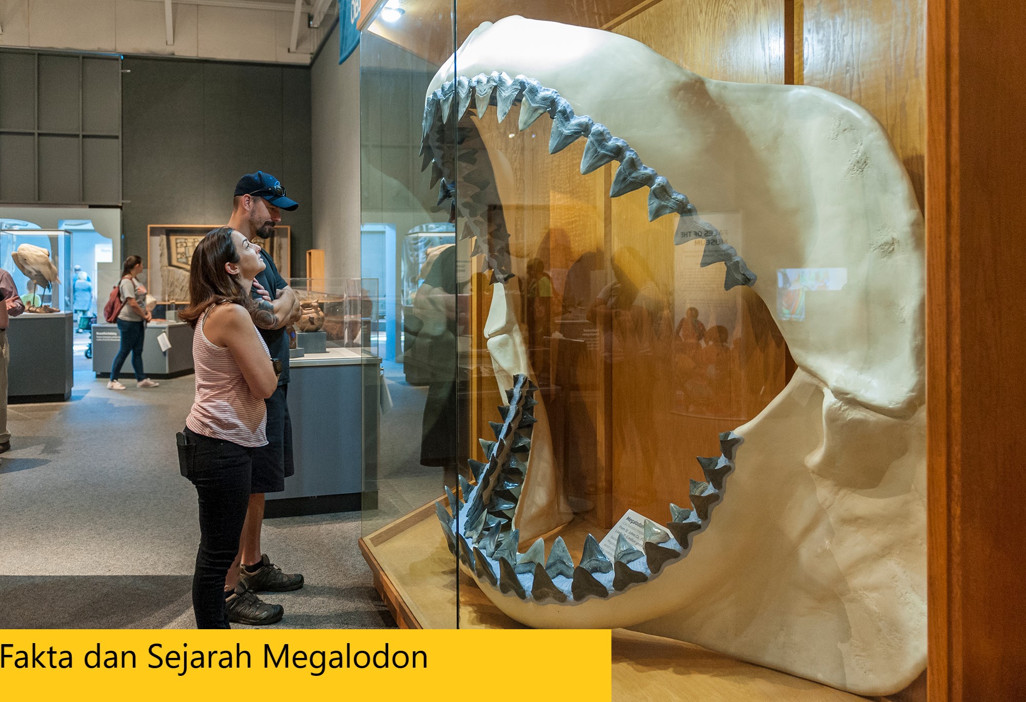 Fakta dan Sejarah Megalodon